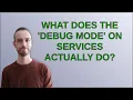 Drupal what does the debug mode on Services actually do