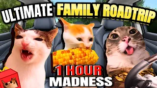 CAT MEME: ULTIMATE FAMILY ROADTRIP FULL 1 HOUR MADNESS!!!