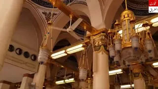 قصيدة ملكني هواكم عذبني 