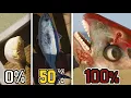 Download Lagu Aku Memancing Ikan Raksasa di UMIGARI  ウミガリ