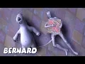 Bernard Bear | Pizza Mummy AND MORE | Cartoons for Children