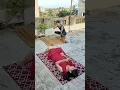Download Lagu Chori chori chupke chupke 🤣😜 #shorts #viral #comedy
