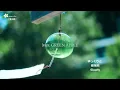 🎵【Jpn/Eng/Chn】(中字)「夏の影」Mrs.  GREEN APPLE「キリン 午後の紅茶」CMソング(午後的紅茶廣告曲)