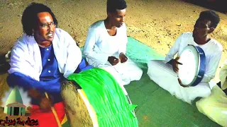 دائما طراي ليم السراي ابو الاقوام وسيع الراي 