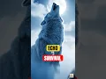 Download Lagu The Arctic Wolf’s Triumph: Blood, Fire, and the Frozen Night