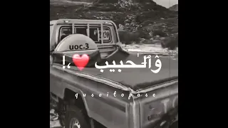 دحيه اسمع خرافي يا ذيب الذيب يضله ذيب حالات واتس اب وستوريات مطلوبة 