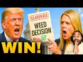 Download Lagu TRUMP’s MOVE on WEED Could FORCE Congress to ACT! 😳🤯