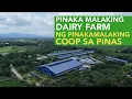 Download Lagu Ang Pinakamalaking Dairy Farm ng Pinakamalaking Coop sa Pinas Ngayon!