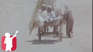 محمد منير      مش حرام عليا   من فيلم الطوق والاسورة   نوادر    دندنها