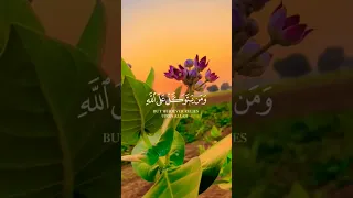 ومن ي ت و ك ل على الله فهو ح س ب ه صلي على محمدﷺ اللهم صل وسلم وبارك على نبينا محمد 