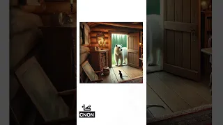 قصة الدب القطبي قصص 