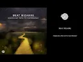 Beat Bizarre - Sparkling Path to Cacophony