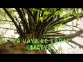 Gujarati Folk Fusion || Vaa Vaya Ne Vadal & Vadaldi Varsi