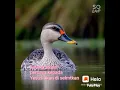 Download Lagu Lagu Rohani enak di dengar‼️\