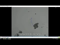 Tracking of moving particles micromotors using FiJi or ImageJ