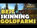 Best Skinning Goldfarms WOTLK Classic