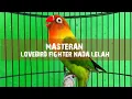 Masteran Lovebird Fighter Nada Lelah 