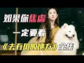 Download Lagu 劉亦菲混職場，天崩開局！ 倒楣也要有個限度，但是看完她我釋懷了 | 一口氣看完《去有风的地方》