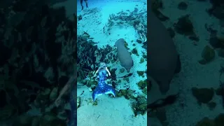 حورية البحر الحقيقية صدمة حورية بحر غرائب 