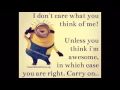Minion memes need to be stopped