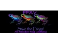 Rainbow Frogs Locations - The Frogs of Legend