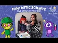 Five Senses Experiment Easy Kids Science