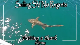 E63 – Aboriginal Art & Patting a Shark, Swift Bay