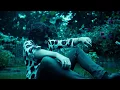 Download Lagu KUZYN ZENKA - Uważaj Na Szwagra (HIT 2017 JESIEŃ) HD DISCO POLO (OFFICIAL VIDEO)