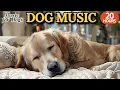 Download Lagu 강아지가 좋아하는 음악🐶💖강아지 수면 음악 20시간🐶🎵혼자 있는 시간에도 안정감을 주는 음악🎵숙면에 도움되는 고요한 사운드🎵외출할때 출근할때 꼭 틀어주세요 by 힐링메이트