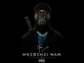 Msebenzi Wam (1st Half)
