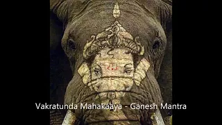 Download Vakratunda mahakaya surya koti samprabhh MP3