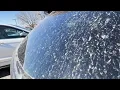 Chicago s new weather record dirty rain and a surprise shark The Forecasters
