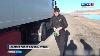 На трассе Челябинск–Новосибирск сотрудники ГИБДД остановили большегрузный автомобиль