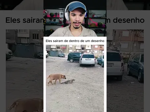 Esse cachorro tava na maldade!