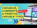 Python Made Easy Module 2 - Variables Data Types in Python