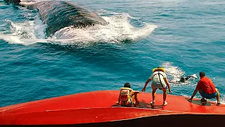 Jurassic World REBIRTH All The Best Dinosaurs Promo CLIPS 