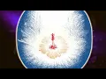 Light Dispels Darkness - Music Movie from Michel Montecrossa’s Reality Album ’2021 MONTECROSSA’