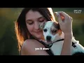 Edgar Cayce: What Happens to the Souls of Dogs in the First Days After Death