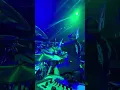 ELOY CASAGRANDE | LIBERATE - SLIPKNOT LIVE AT O2 ARENA