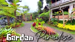 Download Tropical garden oasis | beautifull garden paradise amazing place ✨🌿🌺 MP3