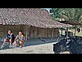 Download Lagu Bikin Melongo\u0026Haru‼️Hanya Ada 3kk Suasana Perkampungan Tengah Hutan,memilih Hidup Jauh Dari Kota😭