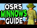 The Ultimate Minnow Fishing Guide Old School Runescape