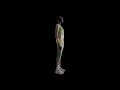 Download Lagu Nike Women's Artist Collection Κολάν Allover Print