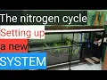 Nitrogen Cycle The single best thing you must know as a beginner fishkeeper