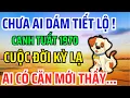 Lagu Tuổi Canh Tuất 1970 Là con Trời Phật, Có Phước đức Hậu Vận Rất Sướng Nhìn 9 Điểm Này Là Biết!