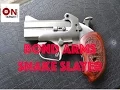 Bond Arms Snake Slayer