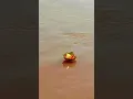 Download Lagu Jai Ganga Maiya, Radhe Radhe 🙏🙏