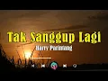 Lagu Harry Parintang - Tak Sanggup Lagi || Lirik video