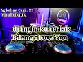 DJ INGIN KU TERIAK BILANG I LOVE YOU || AKU CINTA KAMU BUKAN MAIN MAIN REMIK TIKTOK TERBARU