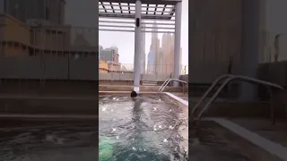 سباحة فرح يوسف نار 